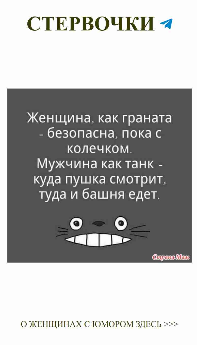 Дорогая злость: как коты понимают нашу любовь