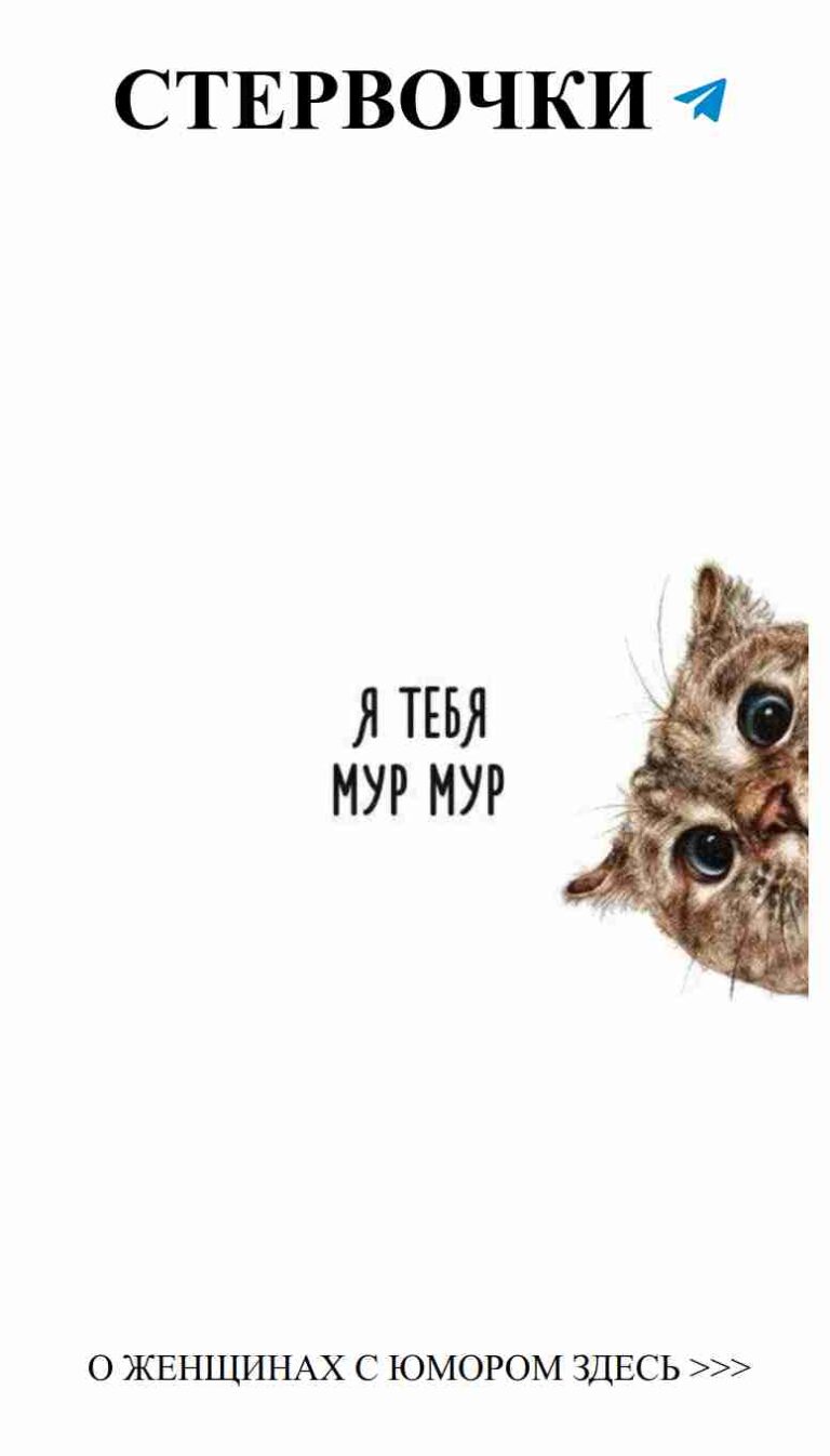 Когда любовь за углом, даже коты улыбаются