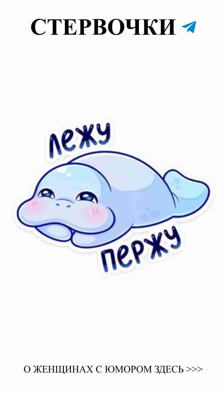 Наклейка с морским котиком для улыбки и любви