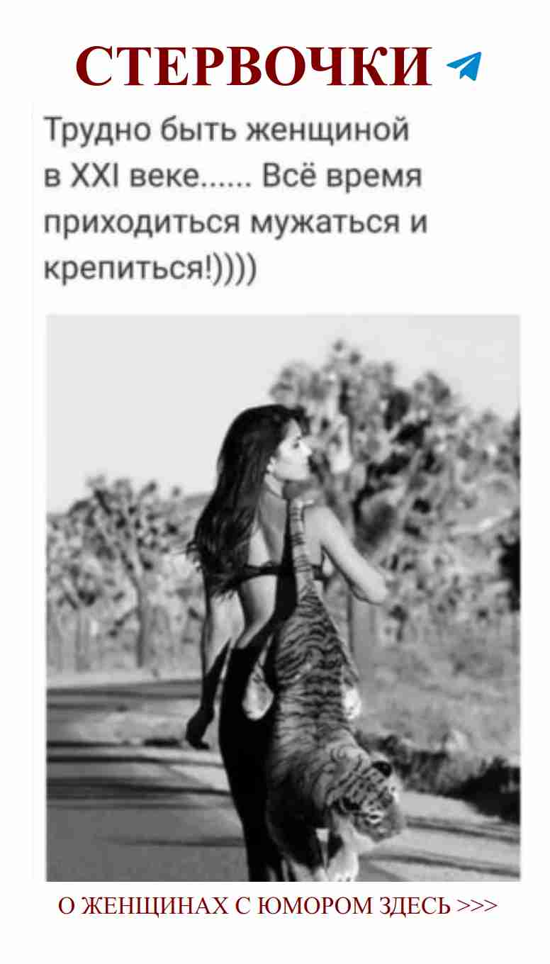 Женщина с кошкой на спине: любовь и юмор в жизни