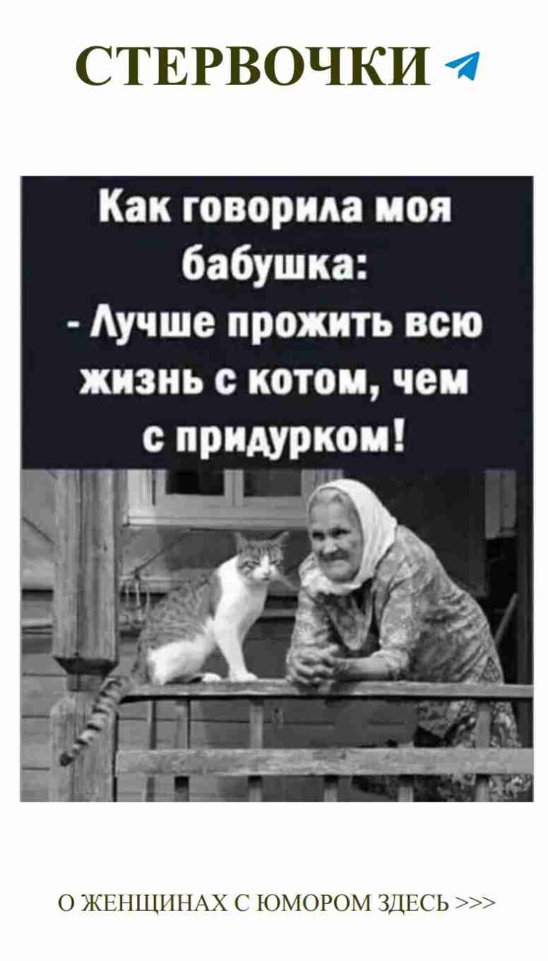 Смешные животные и любовь к ним на пенсионерском пати