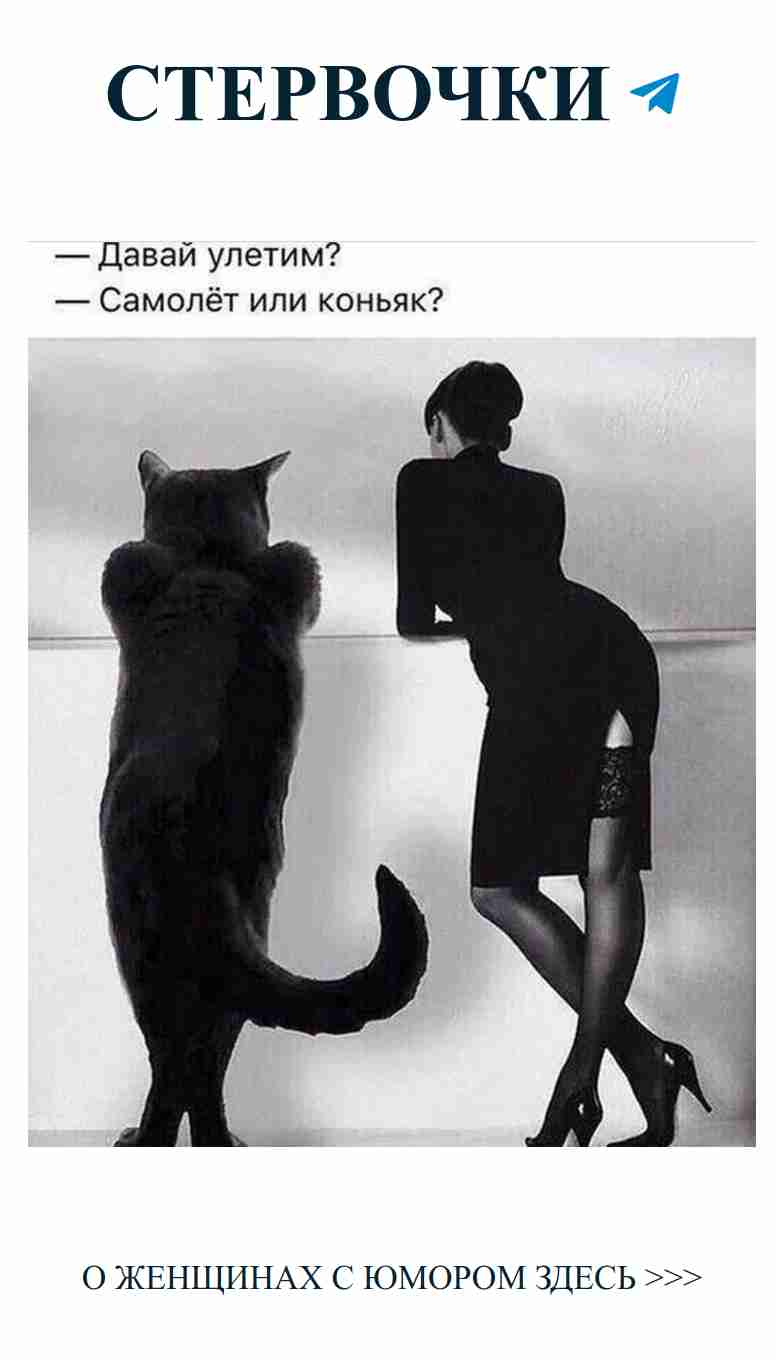 Женская любовь и черные коты: юмор на каждый день