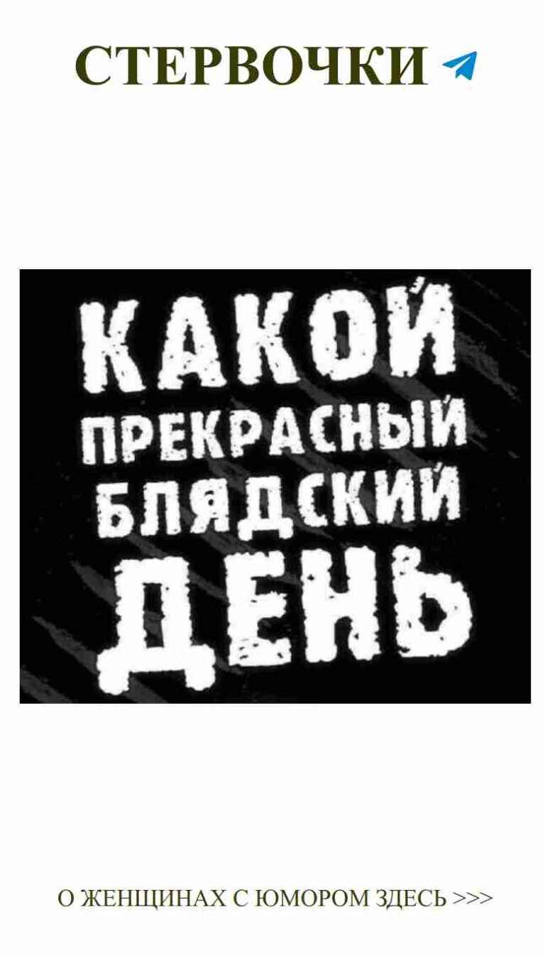 Смешные цитаты о любви и жизни для девушек