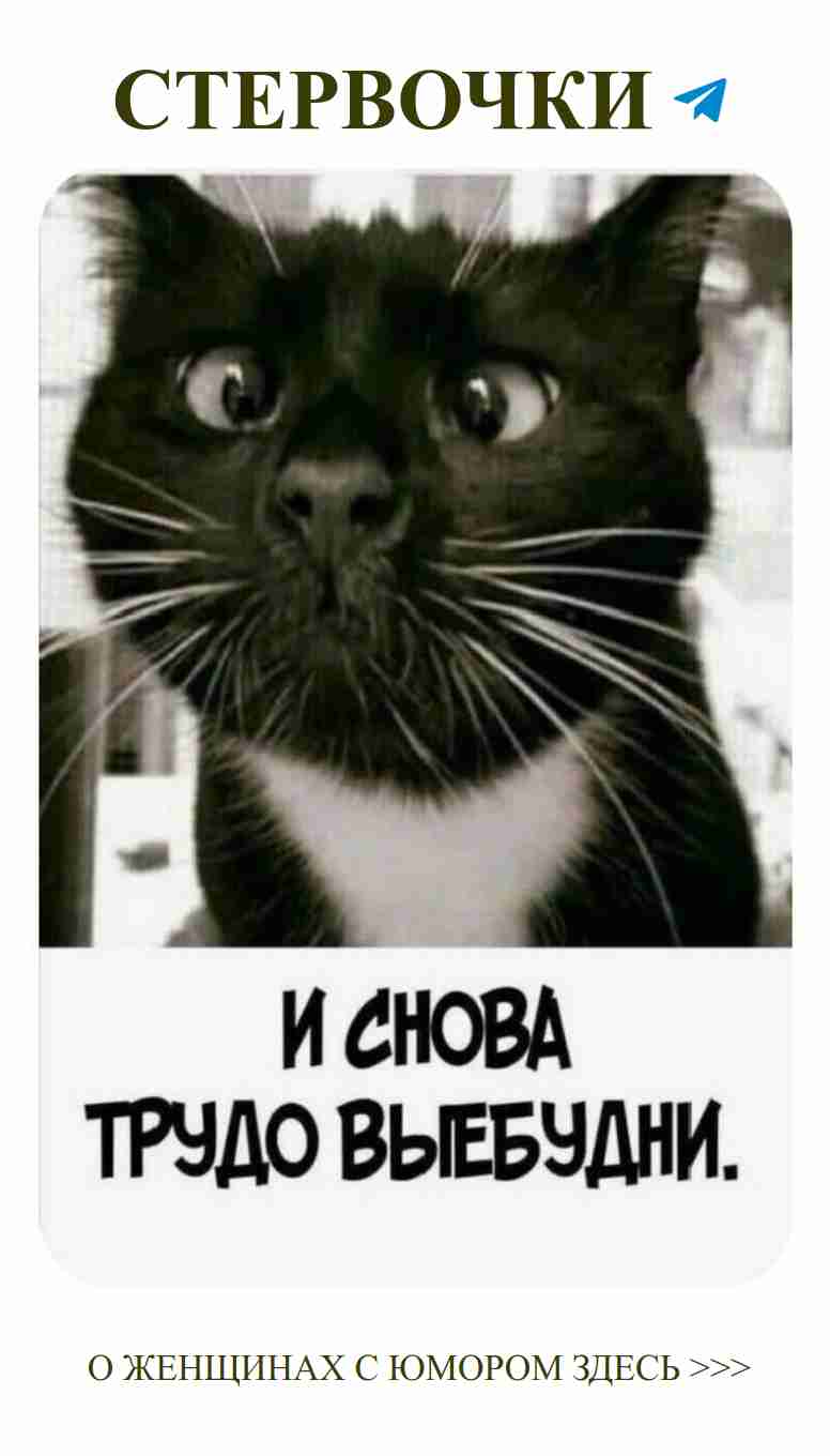 Черно-белая кошка и любящие улыбки во всех ситуациях