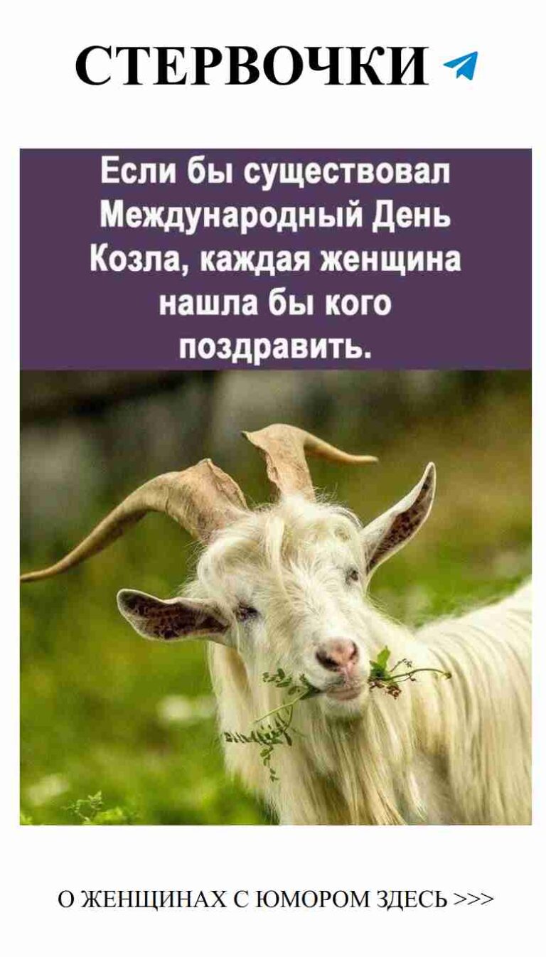 Когда любовь такая крепкая, даже козлы завидуют