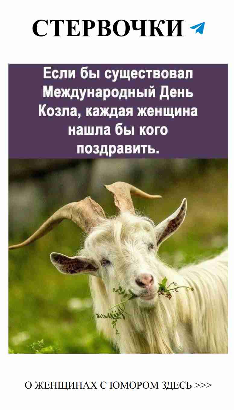 Когда любовь такая крепкая, даже козлы завидуют