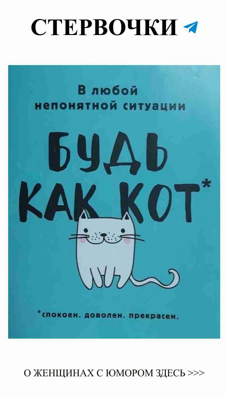 Любовь как кот – всегда с нами на день рождения
