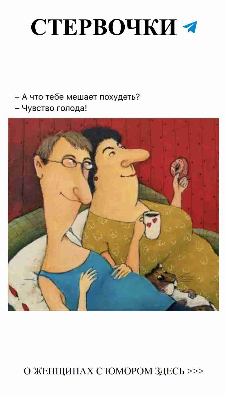 Любовь и юмор: когда пончики становятся свидетелями