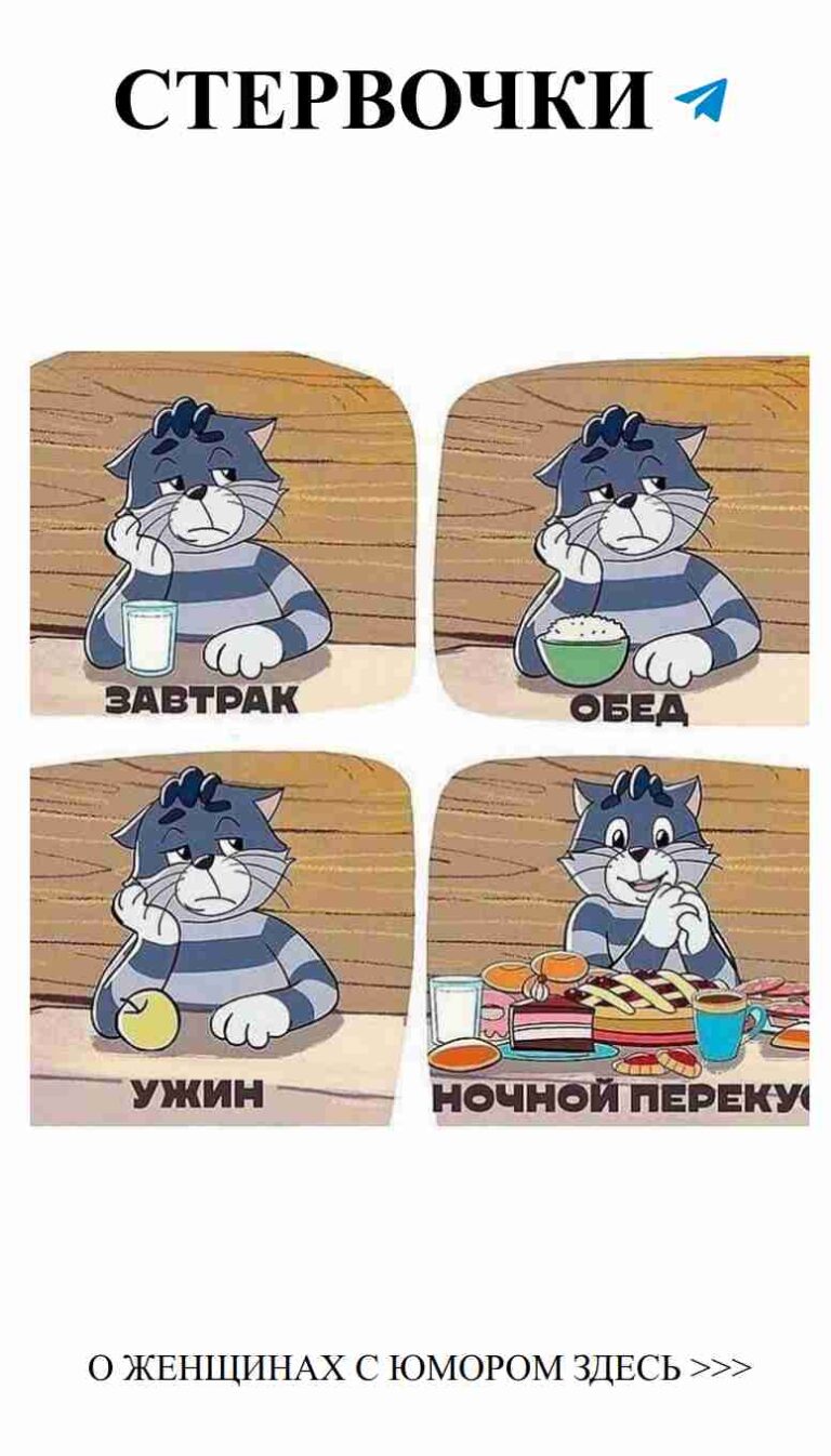 Коты, еда и любовь: милый юмор для женщин