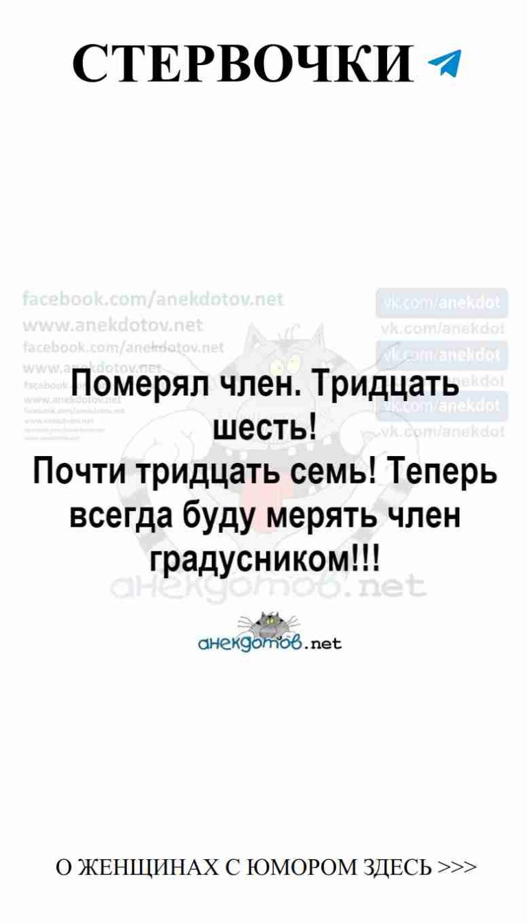 Смешные истории о любви и кошках для девушек