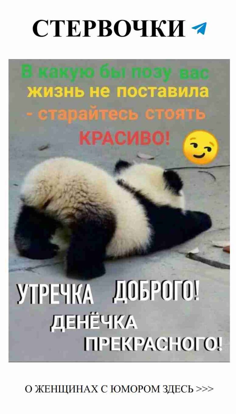 Панда приносит улыбки и тепло на утро любви