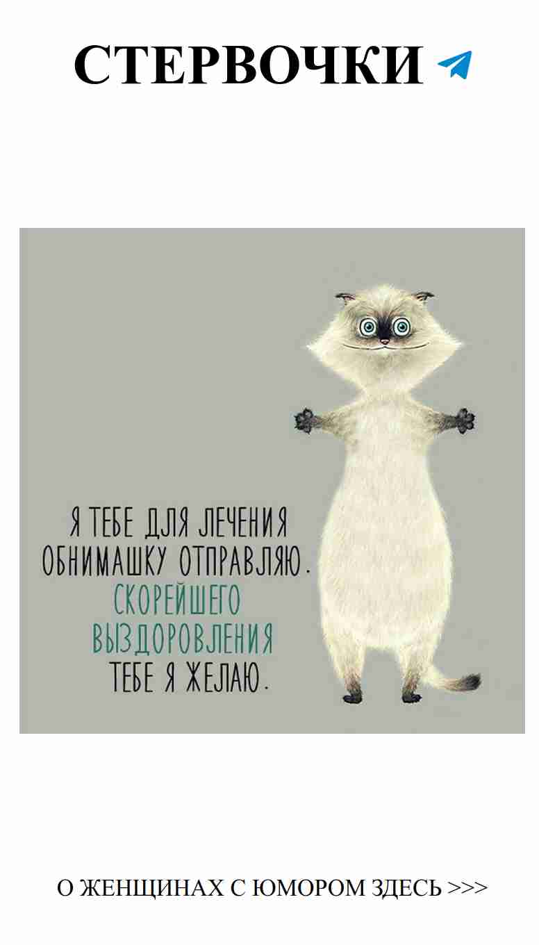 Морская сурикатка в ожидании позитива на каждый день