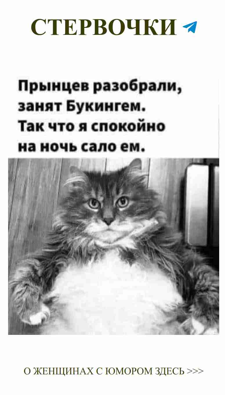 Когда коты понимают женский юмор о любви