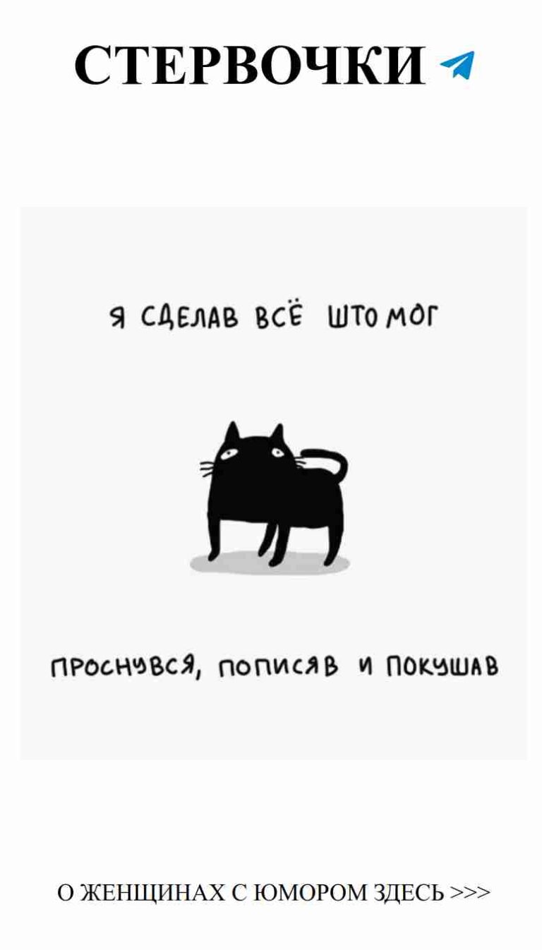 Когда любимая кошка в печали представляется на фоне белого