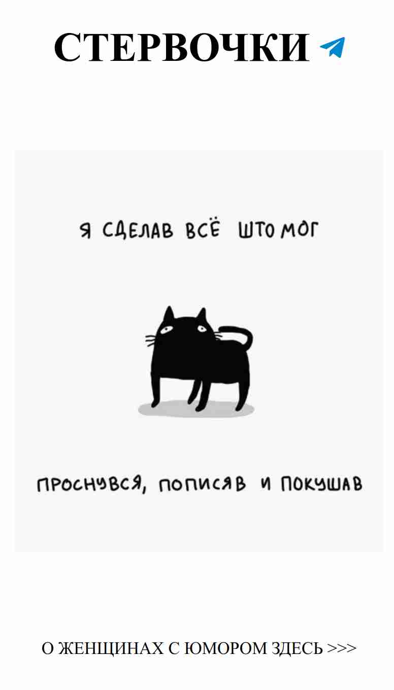 Когда любимая кошка в печали представляется на фоне белого