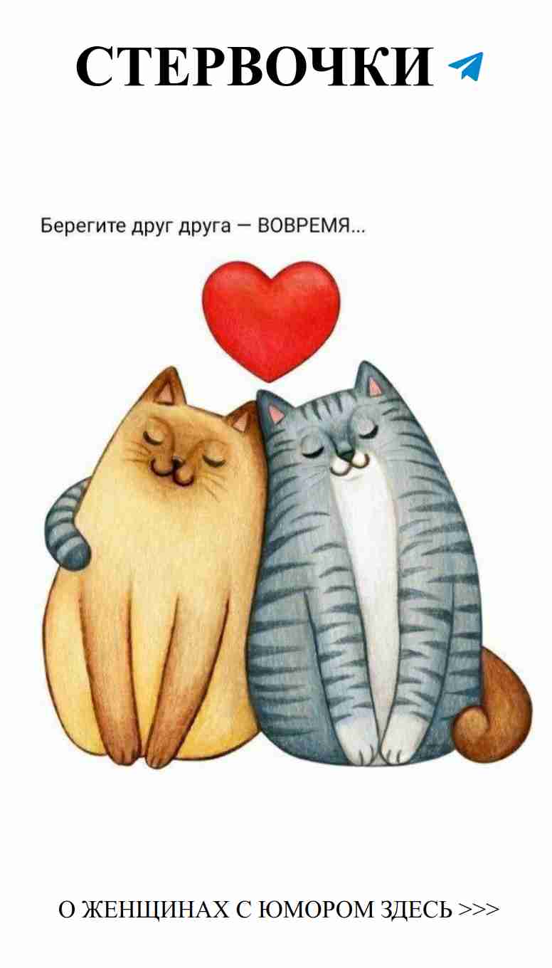 Коты в любви: теплота и уют в каждой улыбке