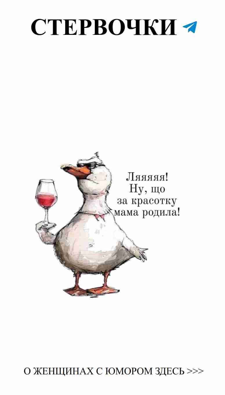 Необычный роман: утка с вином и загадочный разговор