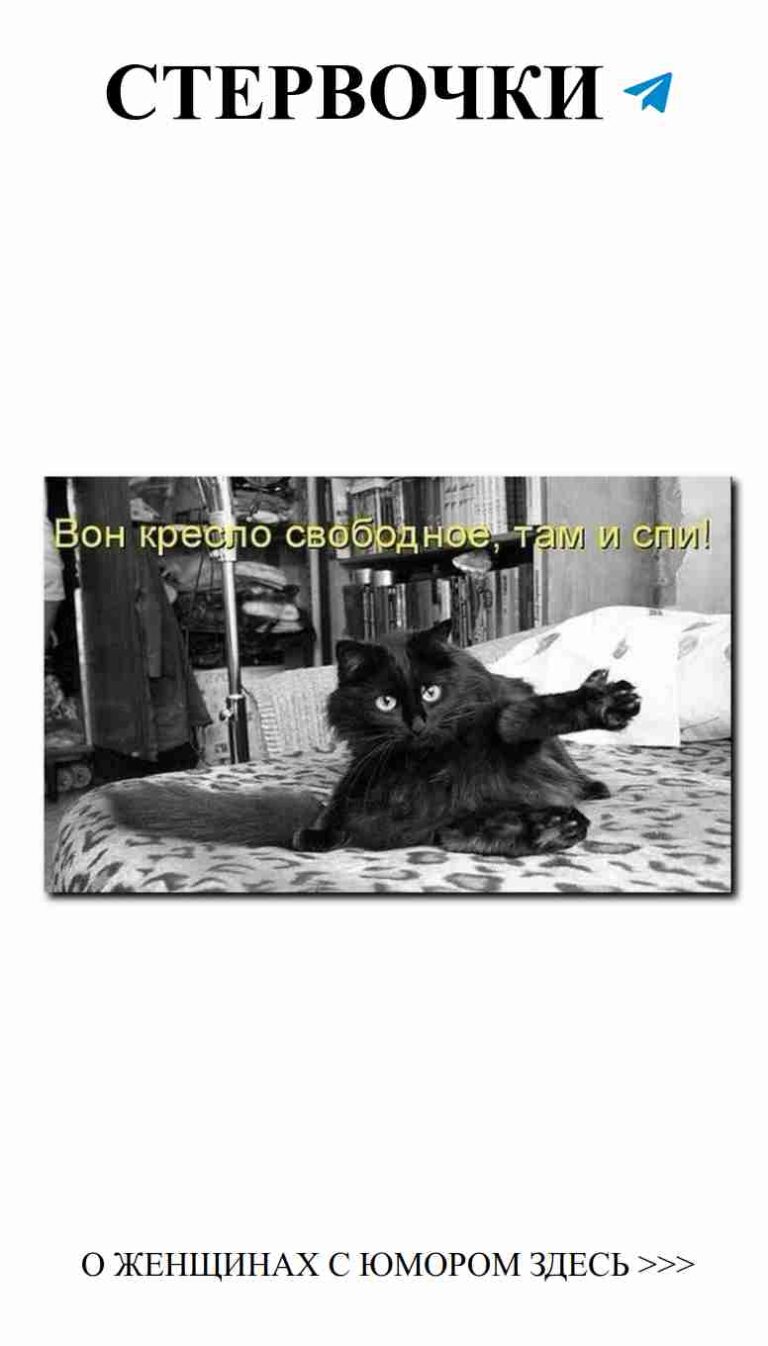 Когда твоя кошка завоевала всю кровать и сердце