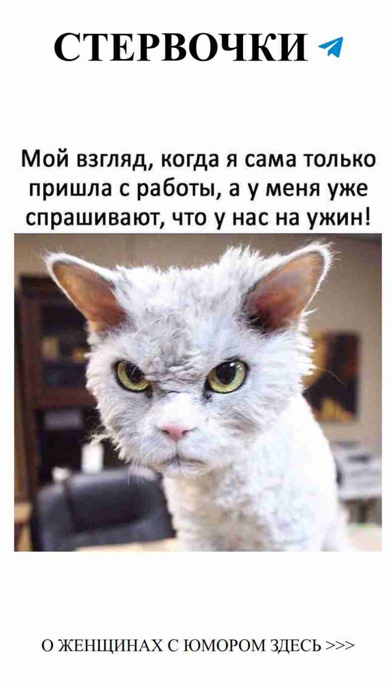 Любовь с юмором: когда сердце смеется и плачет одновременно