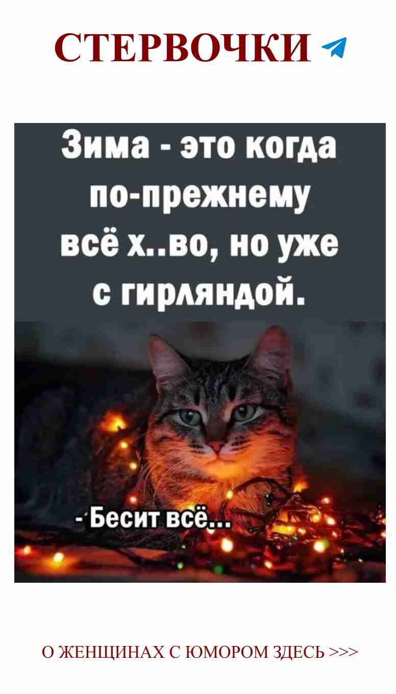 Кот в огнях: как сделать Новый Год веселее