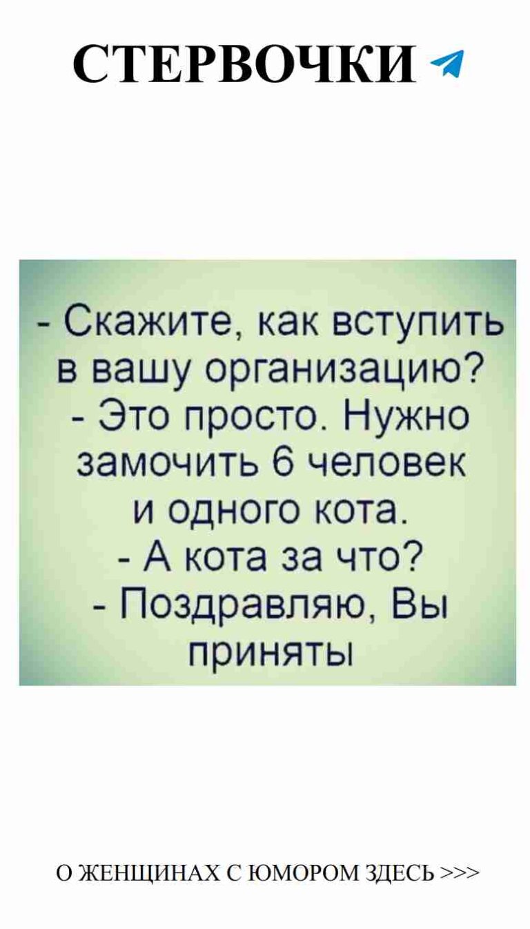 Любовь и юмор: смех спасет даже в самых романтичных моментах