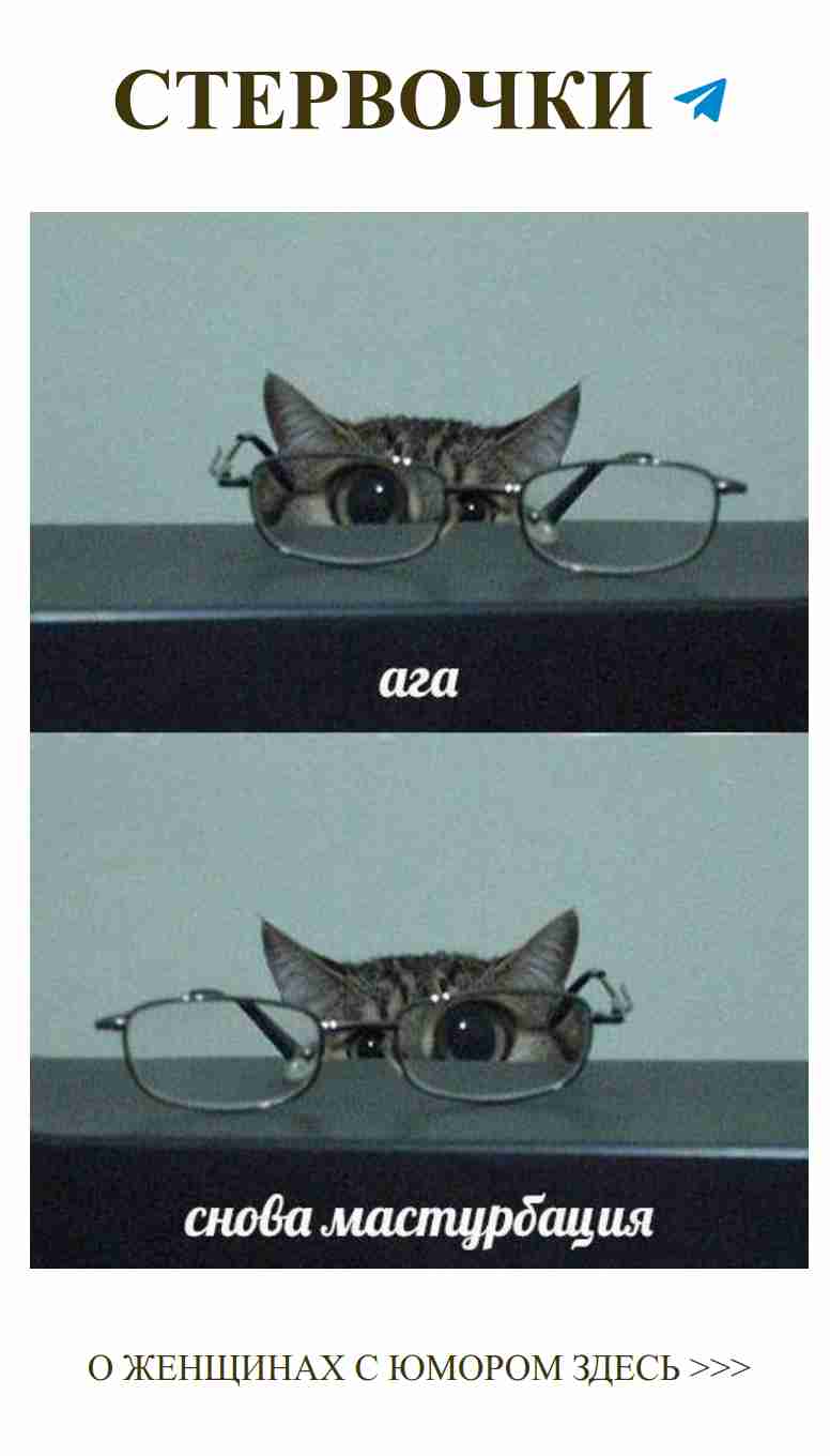 Кошачьи очки и любовь: смех сквозь слёзы