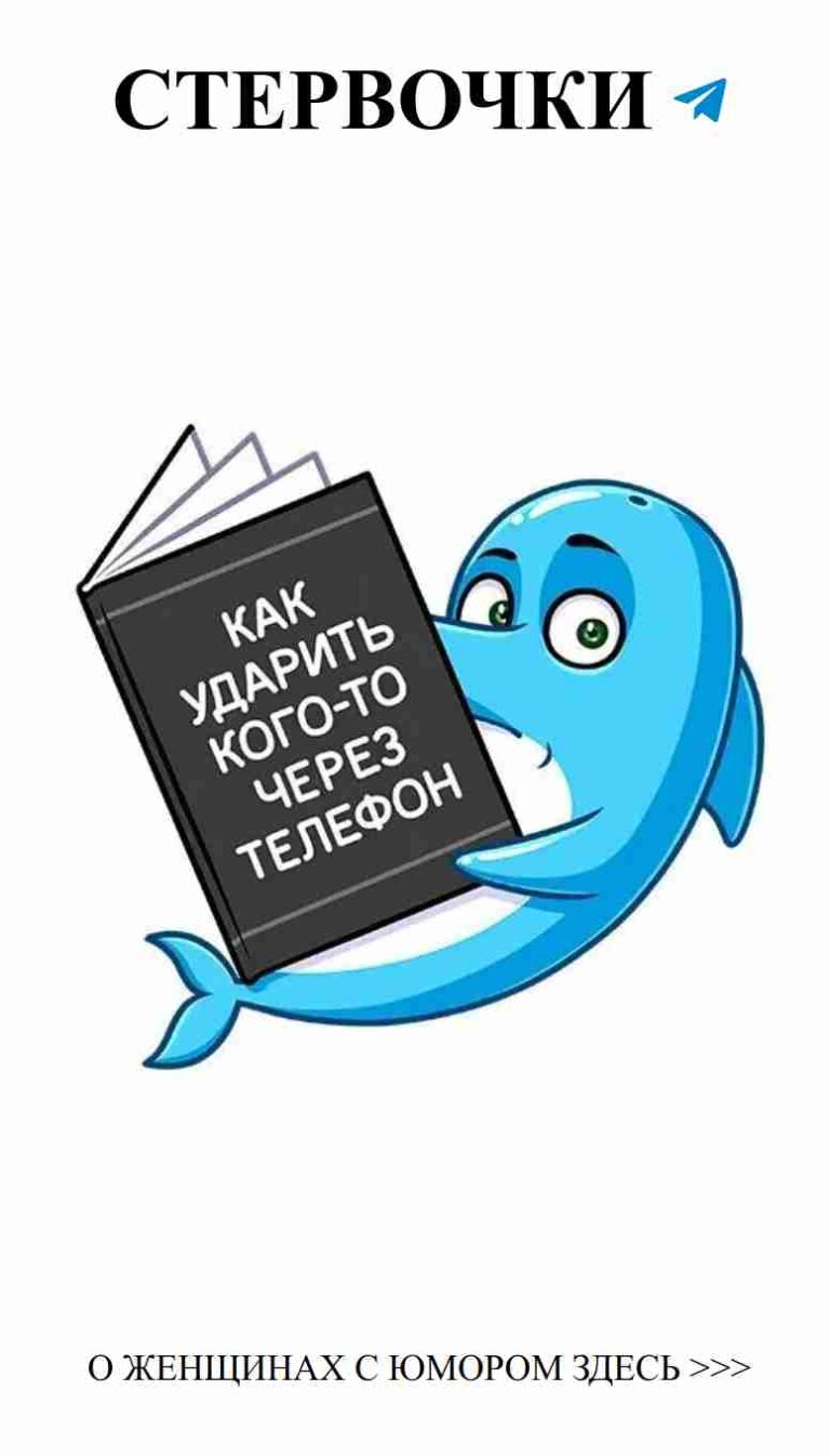 Любовь и юмор: забавные условия для веселых моментов