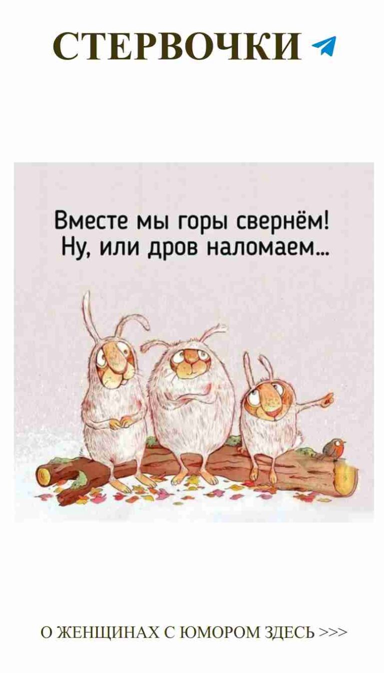 Три кролика и ваша любовь: юмор на каждый день