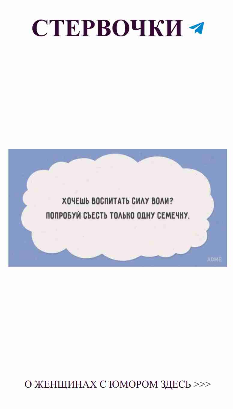 Когда любовь смешна: мысли о жизни и еде