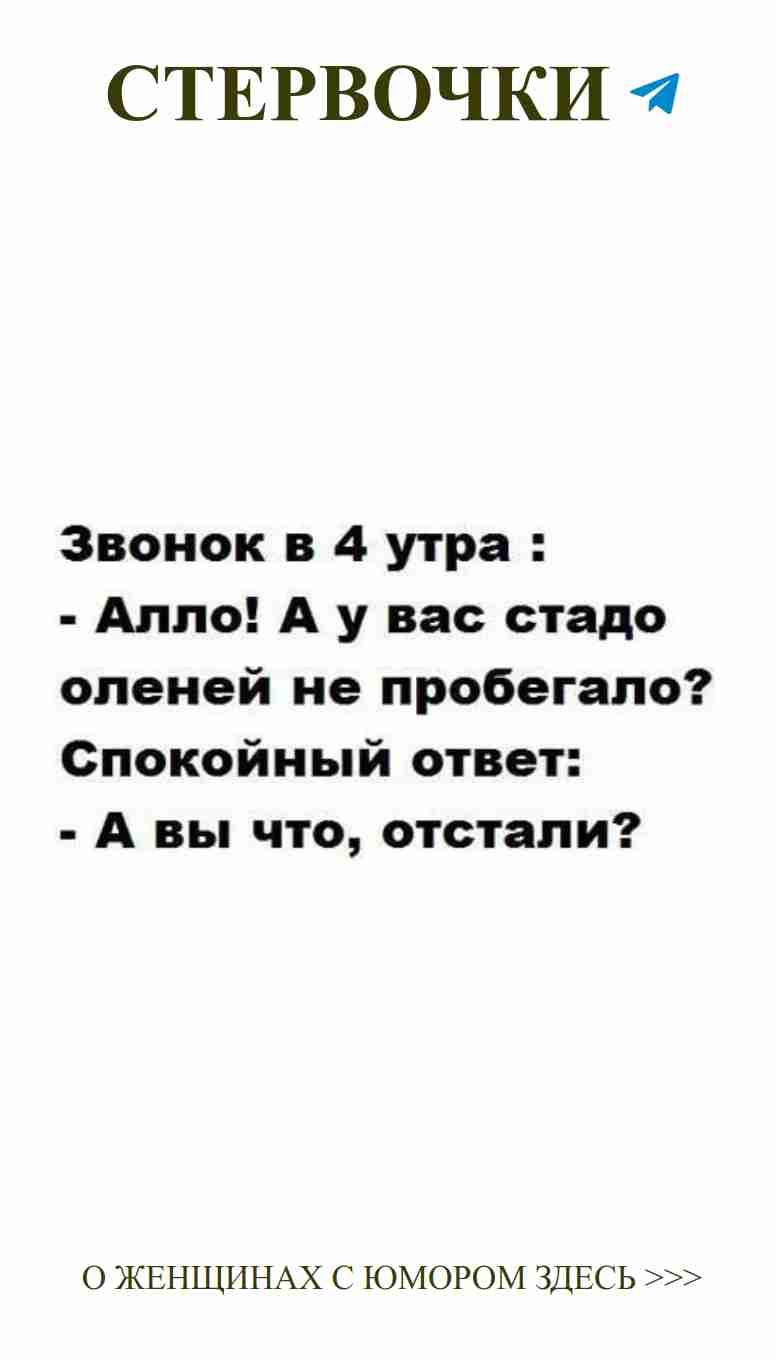 Смешные цитаты о любви и материнстве для девушек