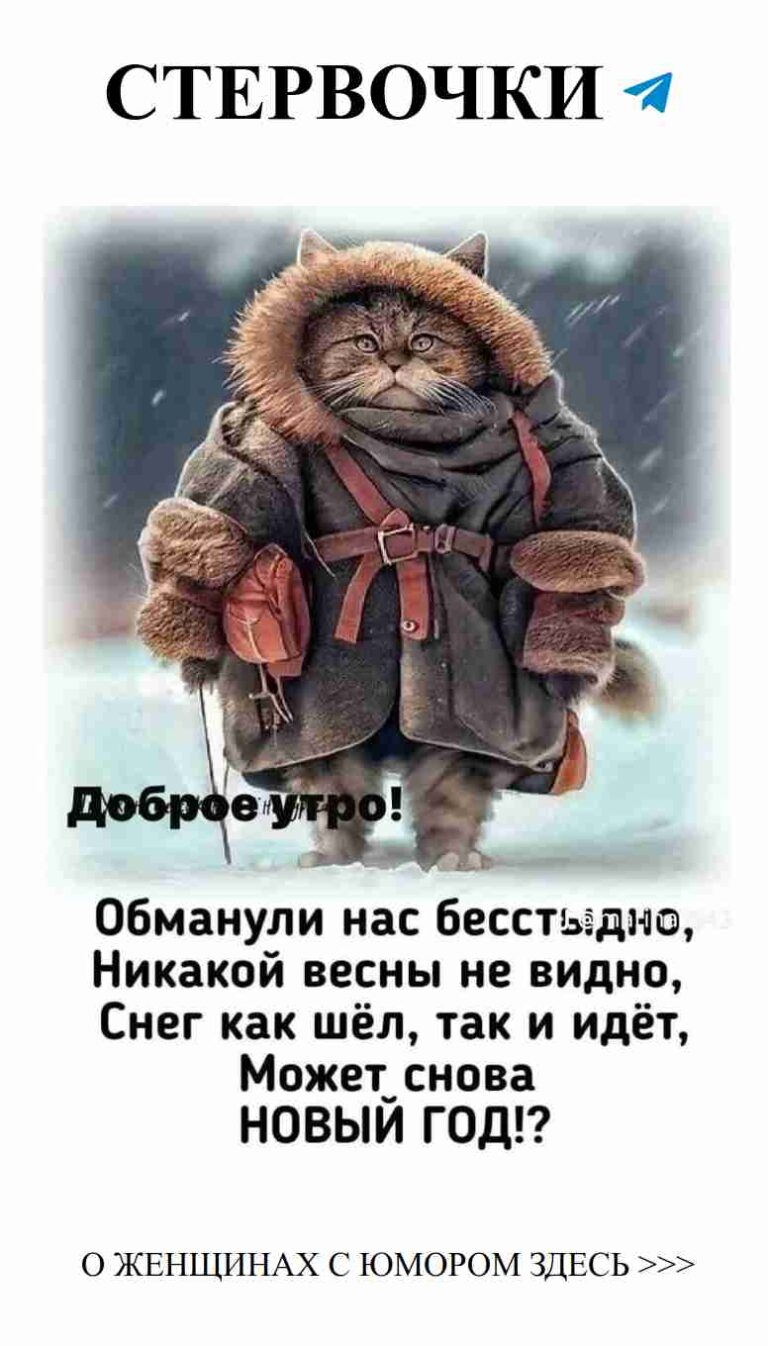 Утро с котом: любовь и лёгкий юмор в снежный день