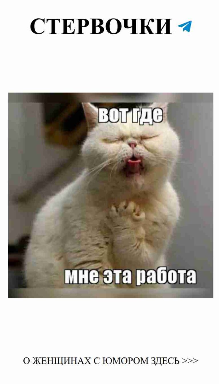 Когда ты понимаешь, что любовь может быть только с котом