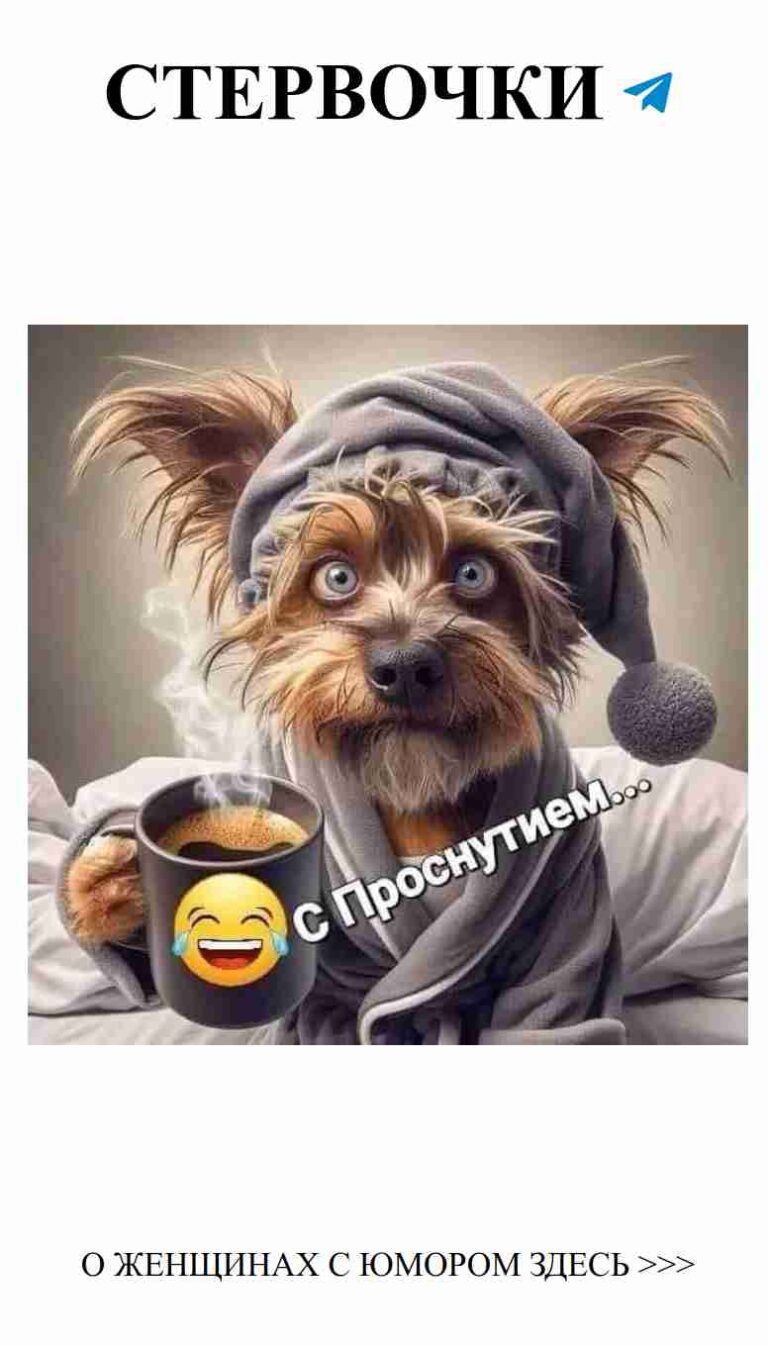 Утренний кофе с милым песиком – для хорошего настроения