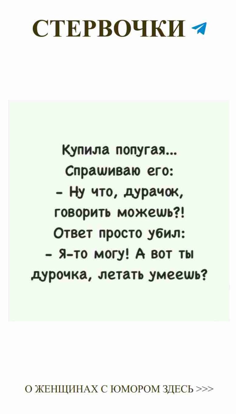 Смешные цитаты о любви для девушек без границ