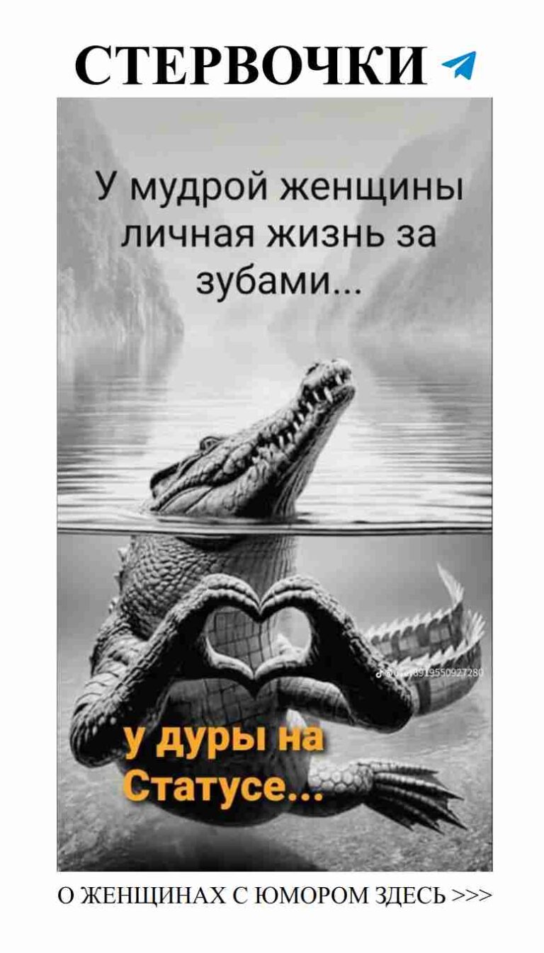 Извинения аллигаторов: любви тоже нужны шутки