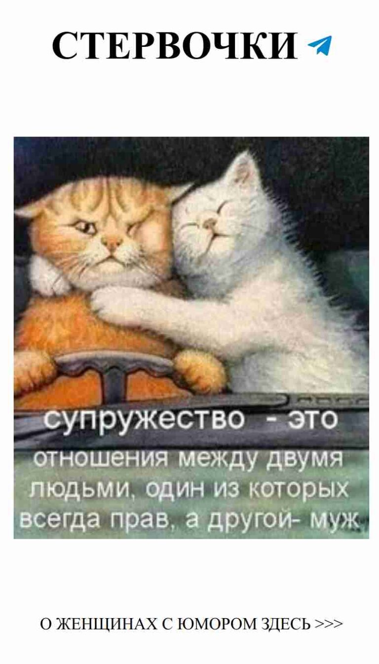 Когда два кота вместе, даже рабочий день становится милым