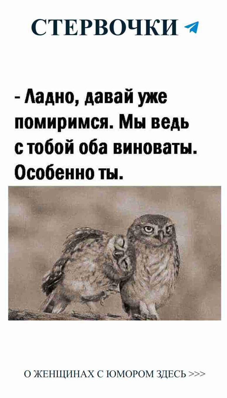 Два совы: смех и любовь на одной ветке