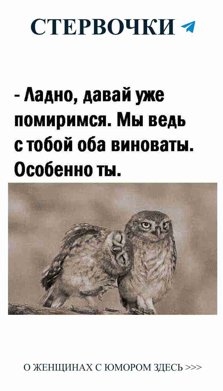 Два совы: смех и любовь на одной ветке