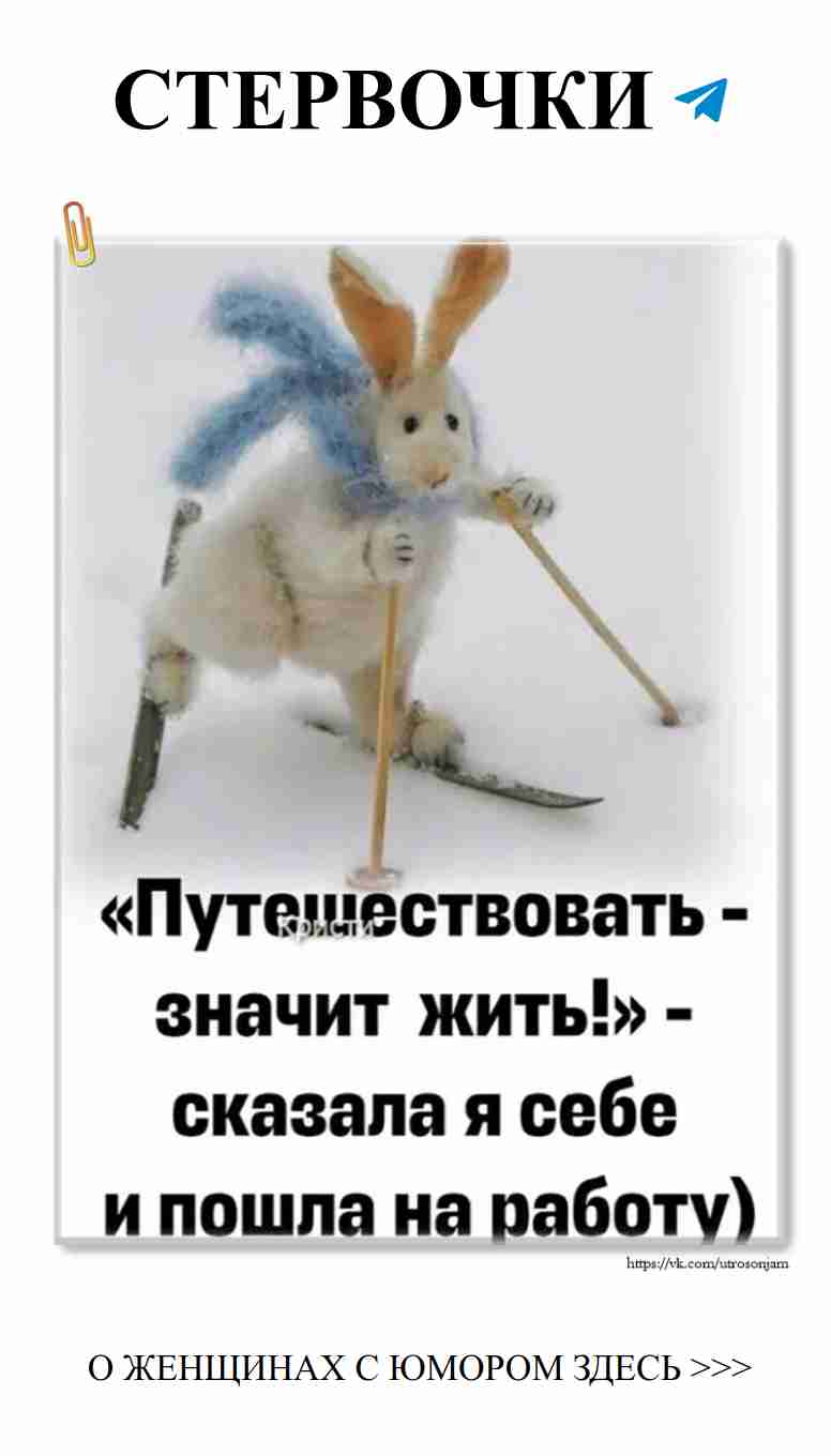 Заяц на лыжах: любовь и хороший юмор на утро