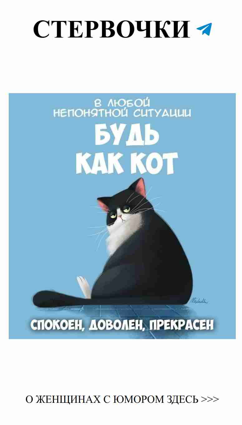Котик, который знает секреты любви и женского юмора
