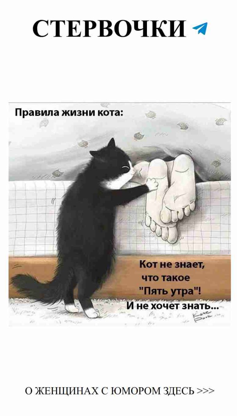 Любовь с юмором: смейся вместе с любимым