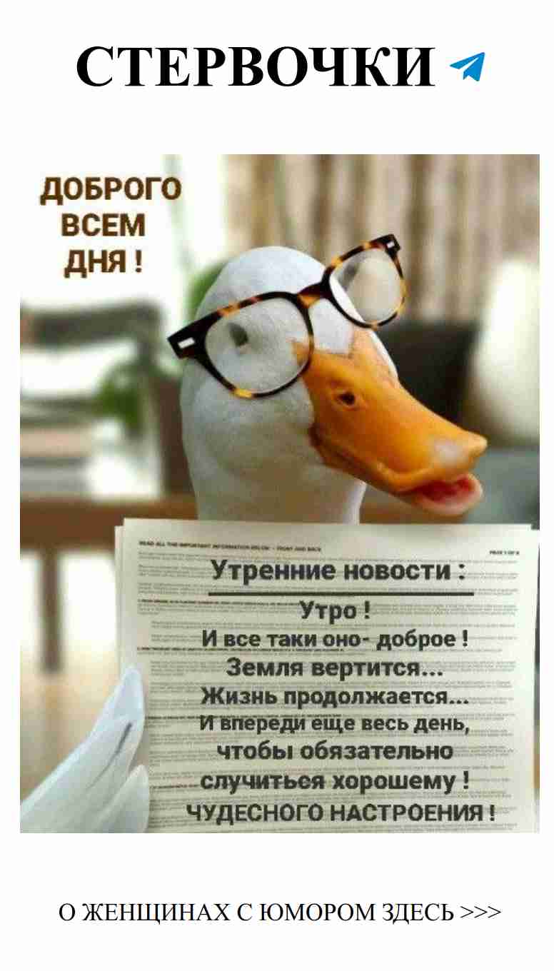 Улыбнись, любовь в очках и с книгой открывает мир