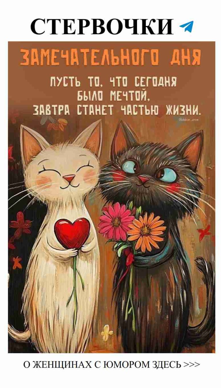 Два кота и любовь: забавный взгляд на отношения