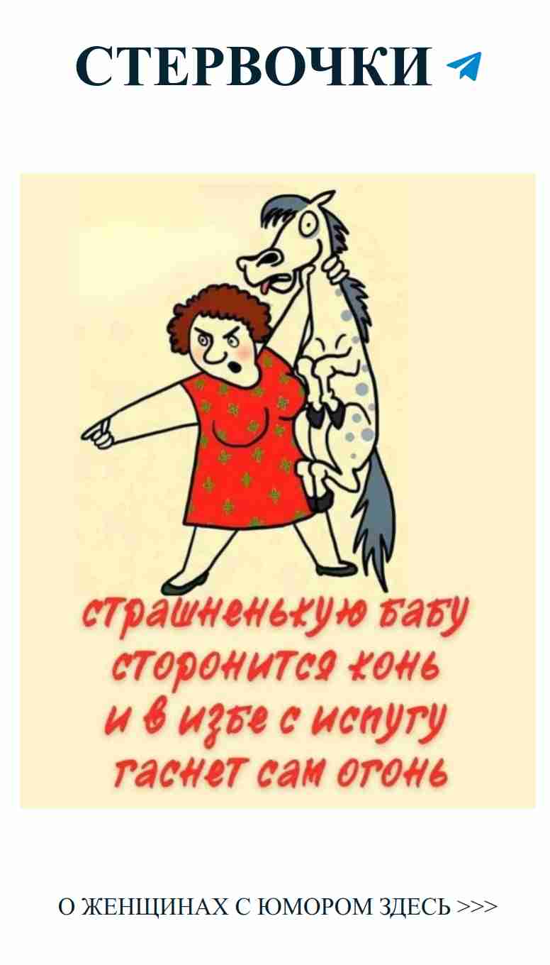 Когда любовь на самом деле отнимает время у твоего коня