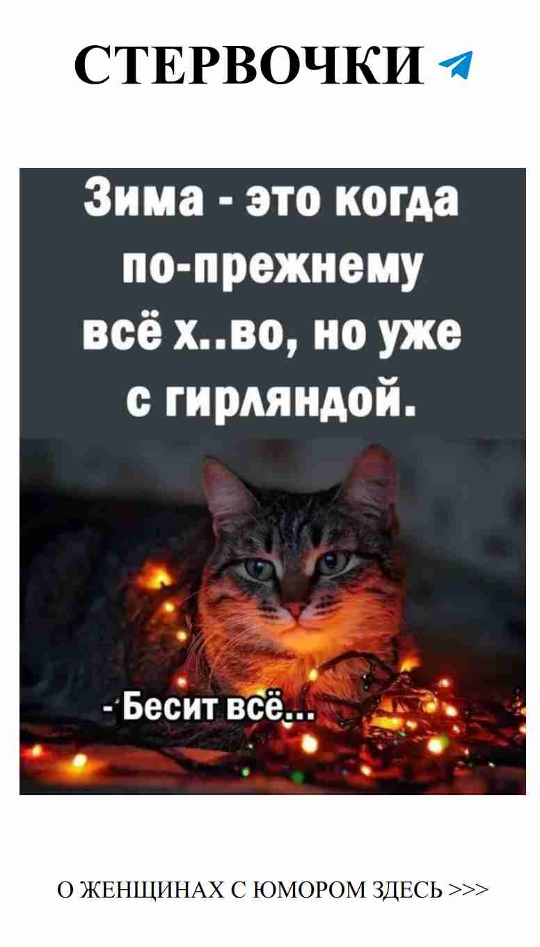 Смешные моменты о любви: как выжить с плохим Дедом Морозом