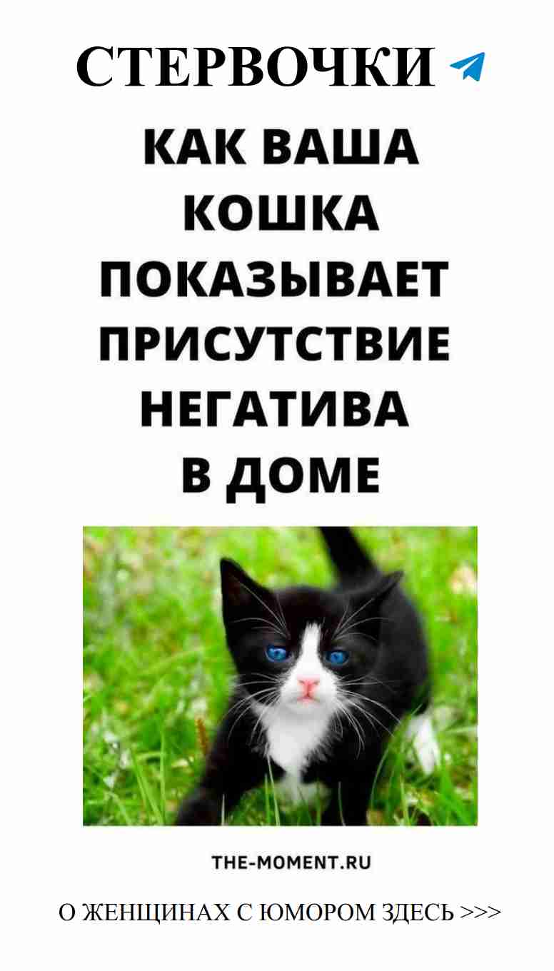 Когда у тебя есть любовь, но она черно-белая как котик
