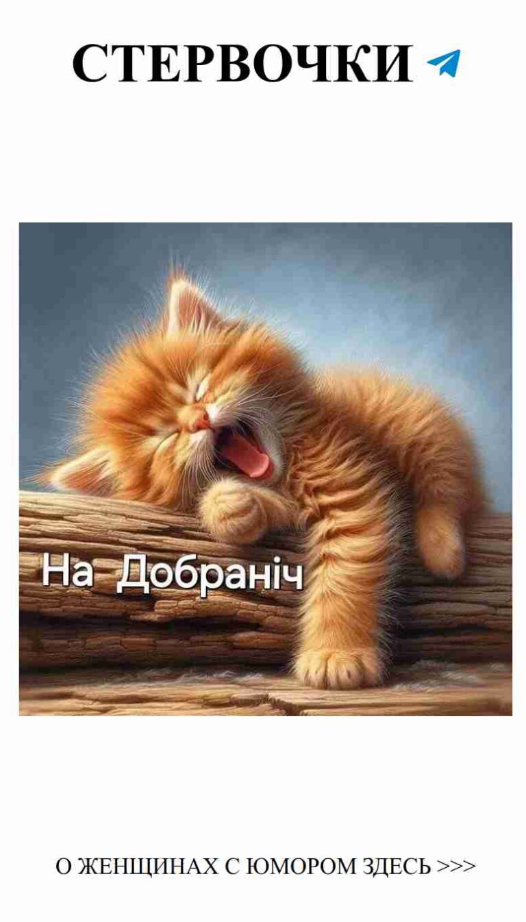 Мягкий кот, который напомнит о любви и уюте