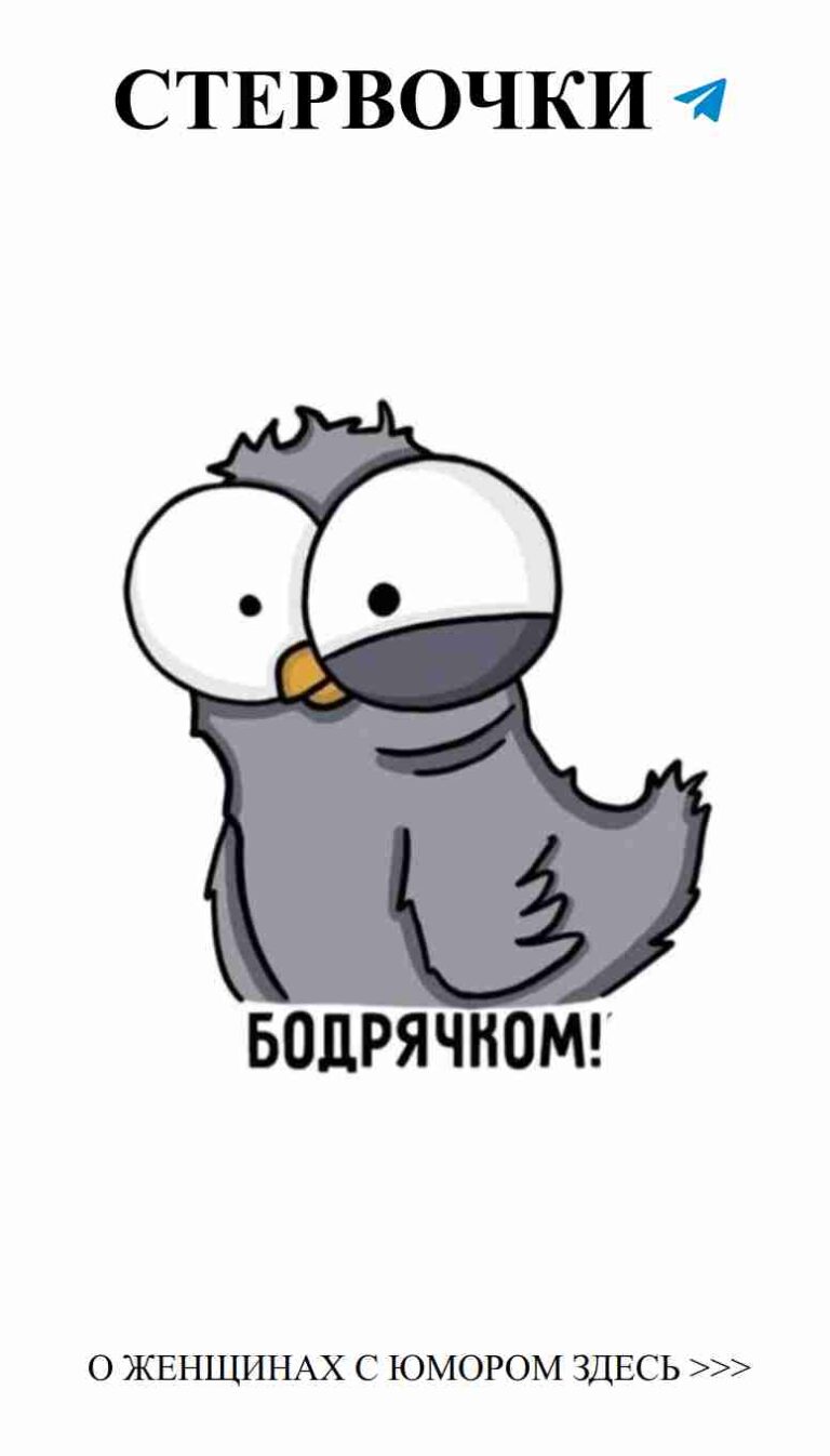 Смешной наклейка: как понимать любовь через гнев птицы