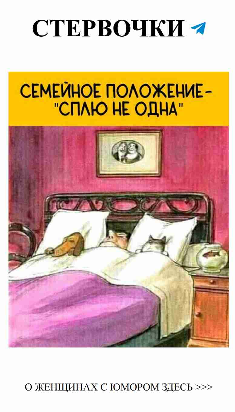 Когда ты думаешь о любви, но кот не хочет просыпаться