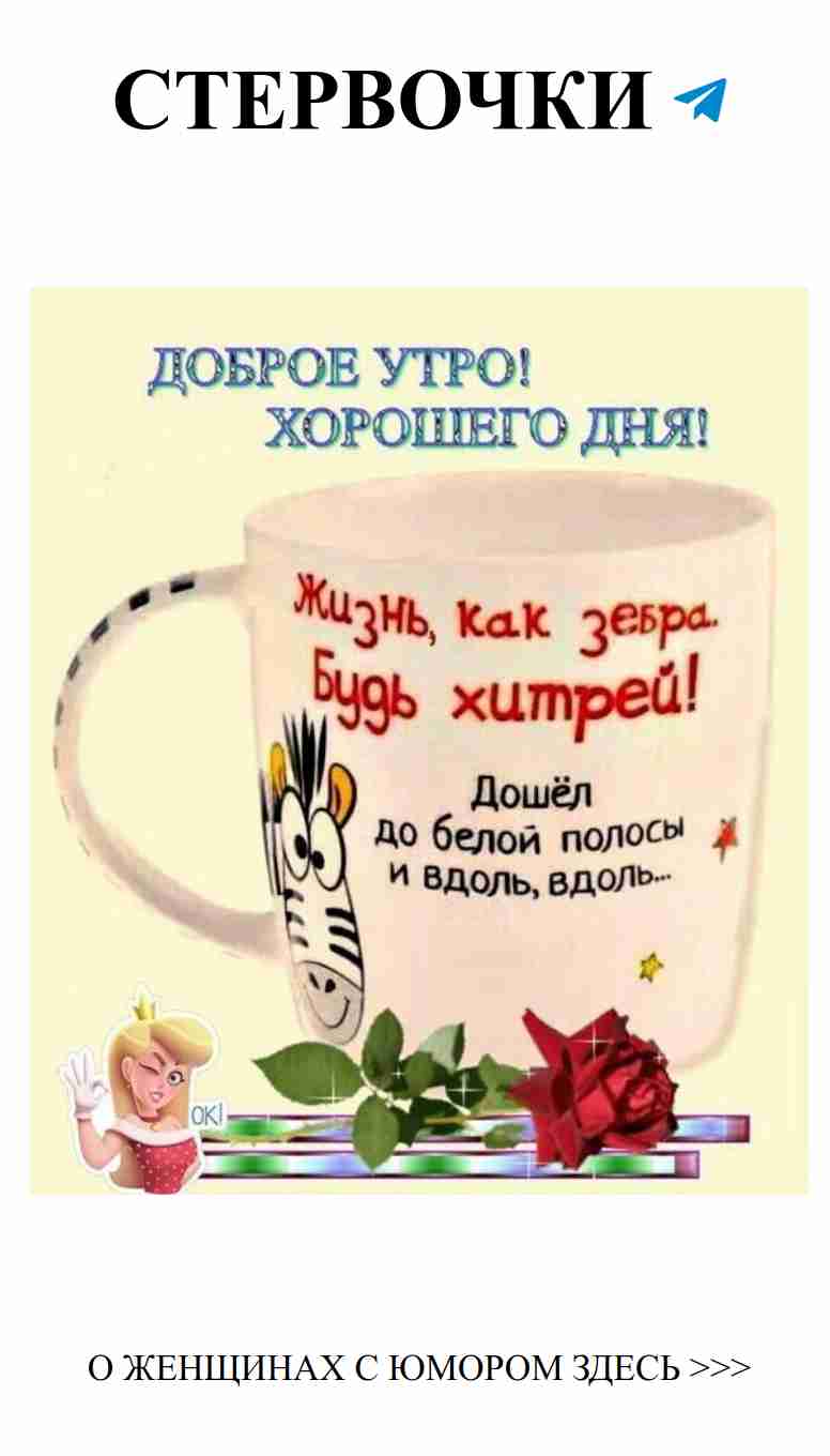 Кофейная зебра: улыбнись и начни свой день с юмором